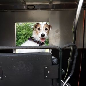 Meet your Posher, Susan